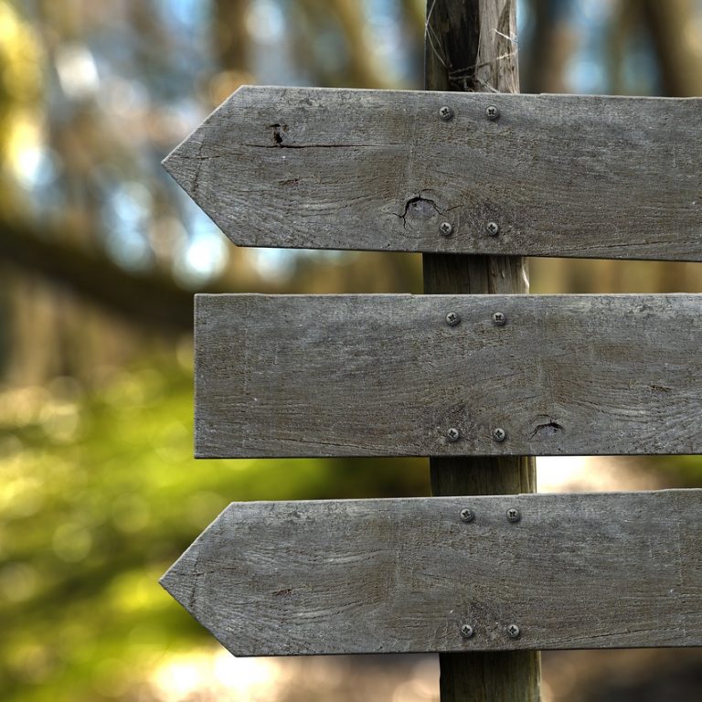 Bild: geralt | Pixabay